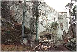 Ruine Merkenstein
